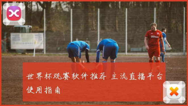 世界杯观赛软件推荐 主流直播平台使用指南