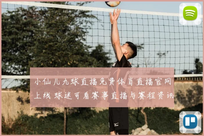小仙儿九球直播免费体育直播官网上线 球迷可看赛事直播与赛程资讯